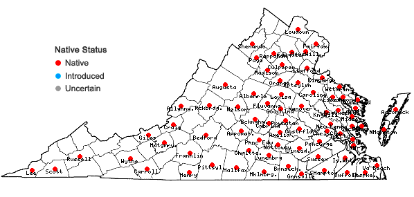 Locations ofDesmodium ciliare (Muhl. ex Willd.) DC. in Virginia