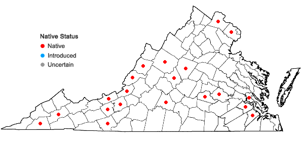 Locations ofDesmodium cuspidatum (Muhl. ex Willd.) Loudon in Virginia