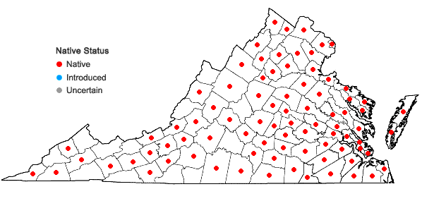 Locations ofDesmodium glabellum (Michx.) DC. in Virginia