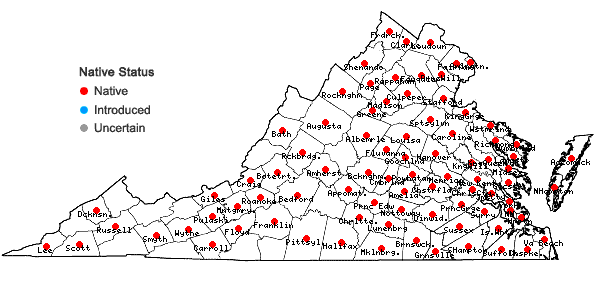 Locations ofDesmodium glabellum (Michx.) DC. in Virginia