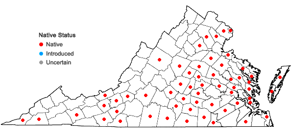 Locations ofDesmodium laevigatum (Nutt.) DC. in Virginia