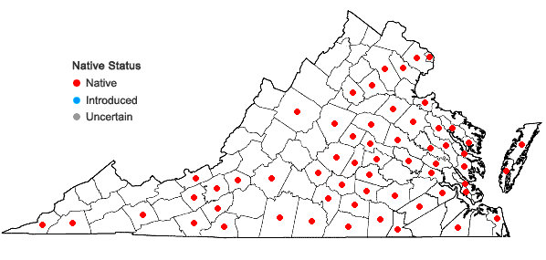 Locations ofDesmodium laevigatum (Nutt.) DC. in Virginia