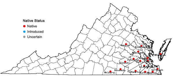 Locations ofDesmodium lineatum DC. in Virginia