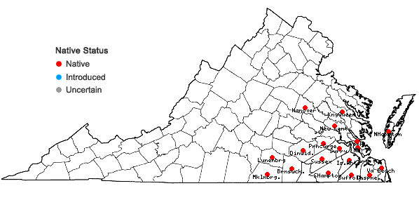 Locations ofDesmodium lineatum DC. in Virginia