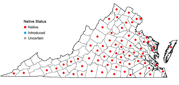 Locations ofDesmodium marilandicum (L.) DC. in Virginia