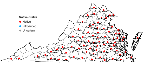 Locations ofDesmodium marilandicum (L.) DC. in Virginia