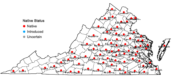 Locations ofDesmodium marilandicum (L.) DC. in Virginia