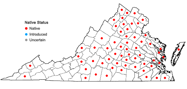 Locations ofDesmodium nuttallii (Schindl.) Schub. in Virginia