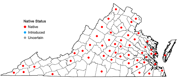 Locations ofDesmodium obtusum (Muhl. ex Willd.) DC. in Virginia