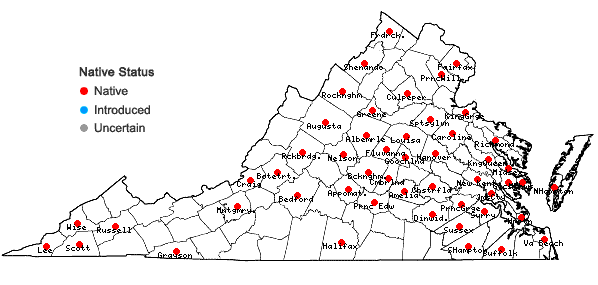 Locations ofDesmodium obtusum (Muhl. ex Willd.) DC. in Virginia