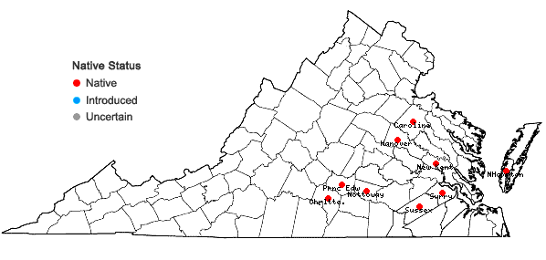 Locations ofDesmodium ochroleucum M.A. Curtis ex Canby in Virginia