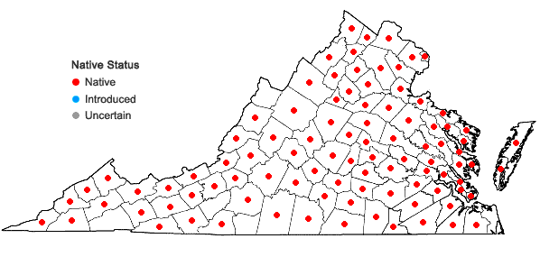 Locations ofDesmodium paniculatum (L.) DC. var. paniculatum in Virginia