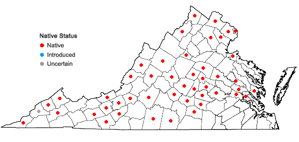 Locations ofDesmodium perplexum Schub. in Virginia