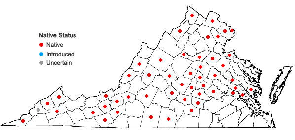 Locations ofDesmodium perplexum Schub. in Virginia