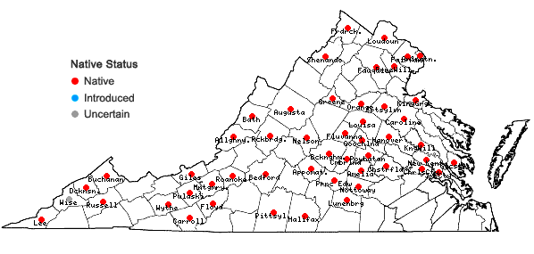 Locations ofDesmodium perplexum Schub. in Virginia