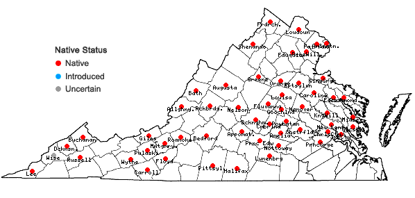 Locations ofDesmodium perplexum Schub. in Virginia