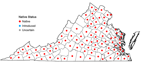 Locations ofDesmodium rotundifolium DC. in Virginia