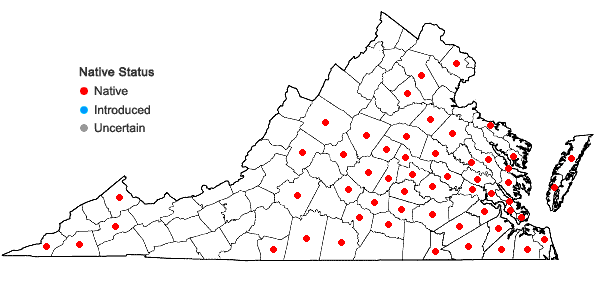Locations ofDesmodium viridiflorum (L.) DC. in Virginia