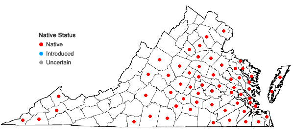 Locations ofDesmodium viridiflorum (L.) DC. in Virginia