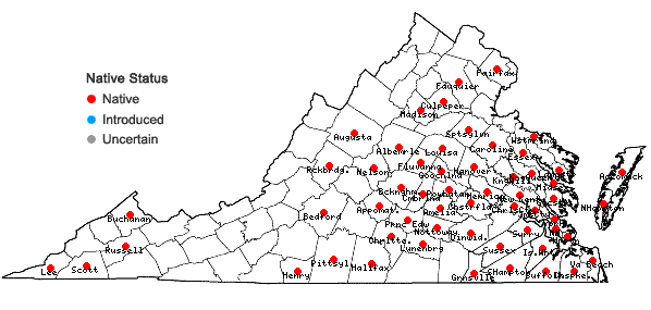 Locations ofDesmodium viridiflorum (L.) DC. in Virginia