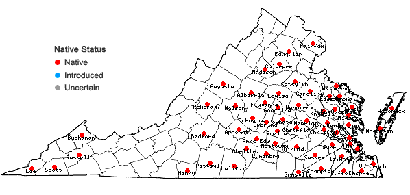 Locations ofDesmodium viridiflorum (L.) DC. in Virginia