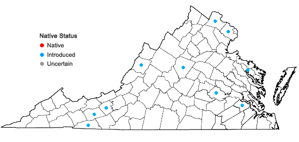 Locations ofDeutzia scabra Thunb. in Virginia