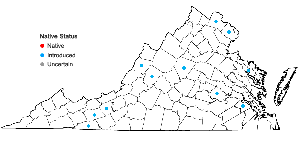 Locations ofDeutzia scabra Thunb. in Virginia