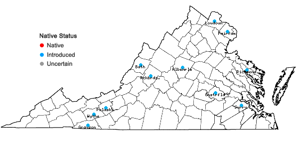 Locations ofDeutzia scabra Thunb. in Virginia