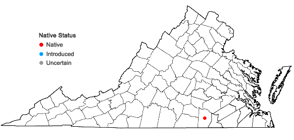 Locations ofDiamorpha smallii Britt. ex Small in Virginia