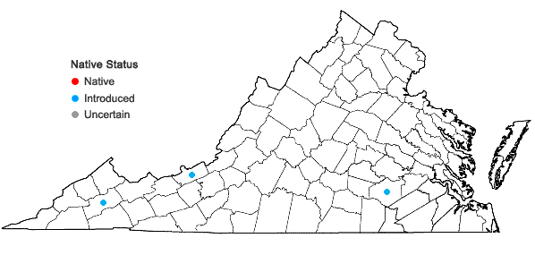 Locations ofDianthus barbatus L. ssp. barbatus in Virginia