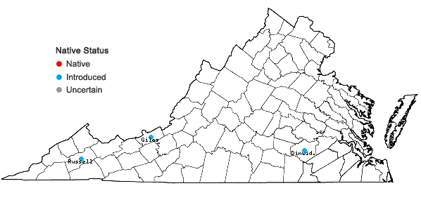 Locations ofDianthus barbatus L. ssp. barbatus in Virginia