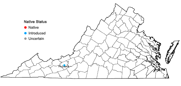 Locations ofDianthus plumarius L. ssp. plumarius in Virginia