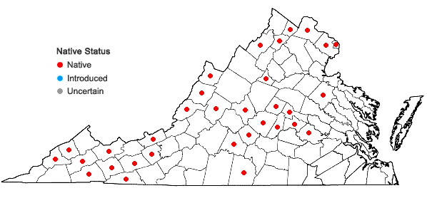 Locations ofDicentra canadensis (Goldie) Walp. in Virginia