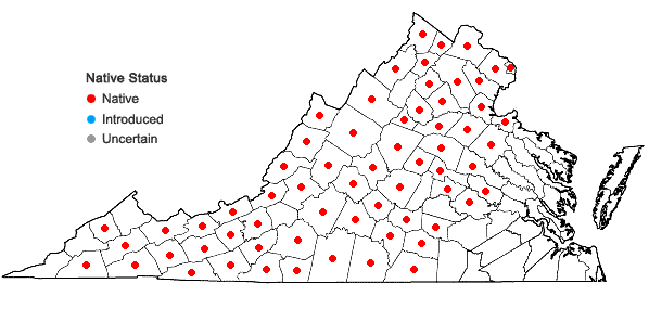 Locations ofDicentra cucullaria (L.) Bernh. in Virginia