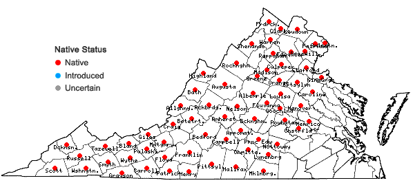 Locations ofDicentra cucullaria (L.) Bernh. in Virginia