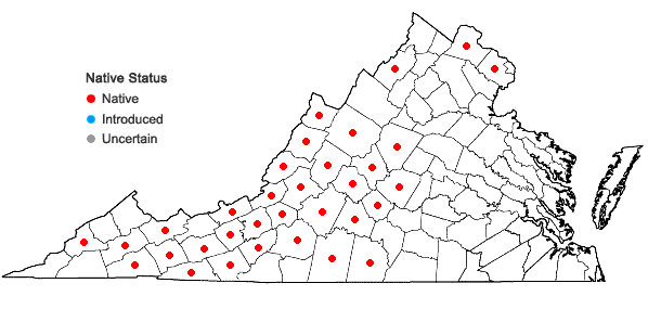 Locations ofDicentra eximia (Ker-Gawl.) Torr. in Virginia