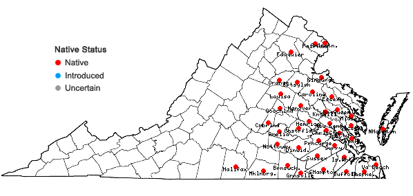 Locations ofDichanthelium aciculare (Desv. ex Poir.) Gould & C.A. Clark in Virginia