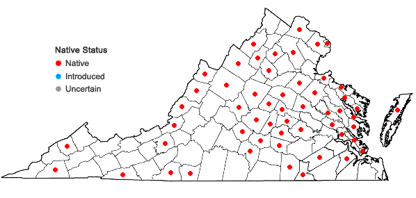 Locations ofDichanthelium acuminatum (Sw.) Gould & C.A. Clark var. acuminatum in Virginia