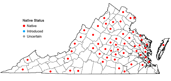 Locations ofDichanthelium acuminatum (Sw.) Gould & C.A. Clark var. acuminatum in Virginia