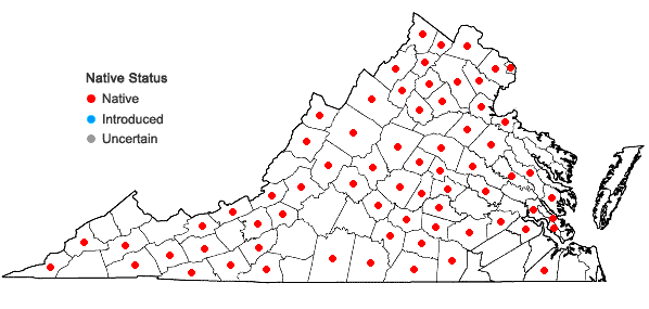 Locations ofDichanthelium acuminatum (Sw.) Gould & C.A. Clark var. fasciculatum (Torr.) Freckmann in Virginia