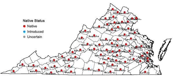 Locations ofDichanthelium acuminatum (Sw.) Gould & C.A. Clark var. fasciculatum (Torr.) Freckmann in Virginia