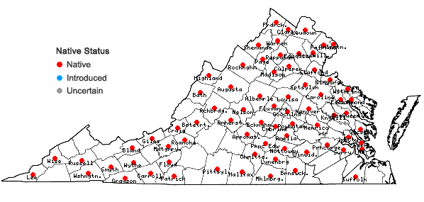 Locations ofDichanthelium acuminatum (Sw.) Gould & C.A. Clark var. fasciculatum (Torr.) Freckmann in Virginia