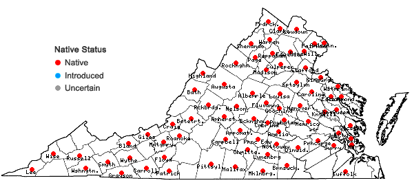 Locations ofDichanthelium acuminatum (Sw.) Gould & C.A. Clark var. fasciculatum (Torr.) Freckmann in Virginia