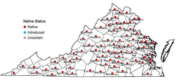 Locations ofDichanthelium acuminatum (Sw.) Gould & C.A. Clark var. fasciculatum (Torr.) Freckmann in Virginia