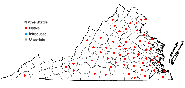 Locations ofDichanthelium acuminatum (Sw.) Gould & C.A. Clark var. lindheimeri (Nash) Gould & C.A. Clark in Virginia