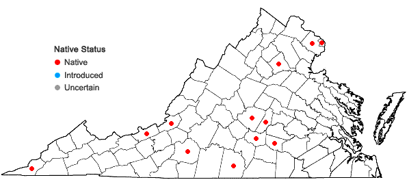 Locations ofDichanthelium annulum (Ashe) LeBlond in Virginia