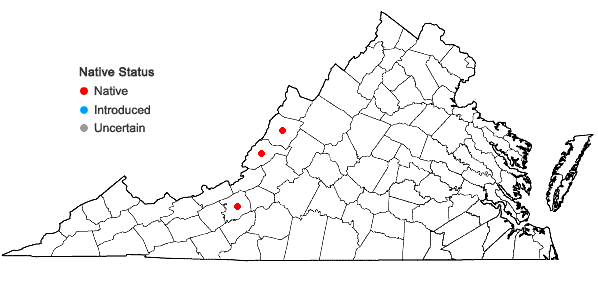 Locations ofDichanthelium appalachiense Townsend & LeBlond in Virginia