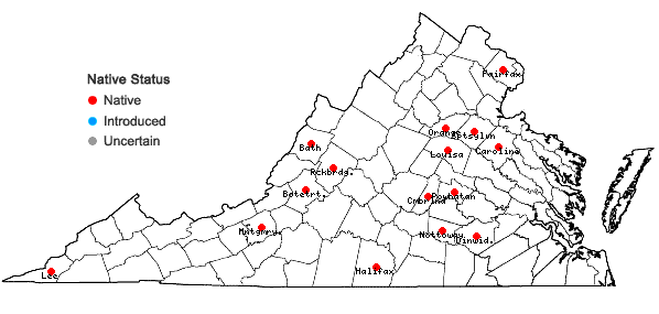 Locations ofDichanthelium bicknellii (Nash) LeBlond in Virginia