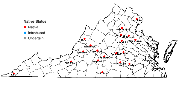 Locations ofDichanthelium bicknellii (Nash) LeBlond in Virginia