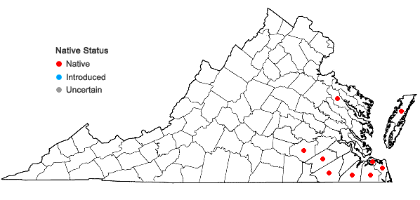 Locations ofDichanthelium caerulescens (Hack. ex Fitchc.) Correll in Virginia